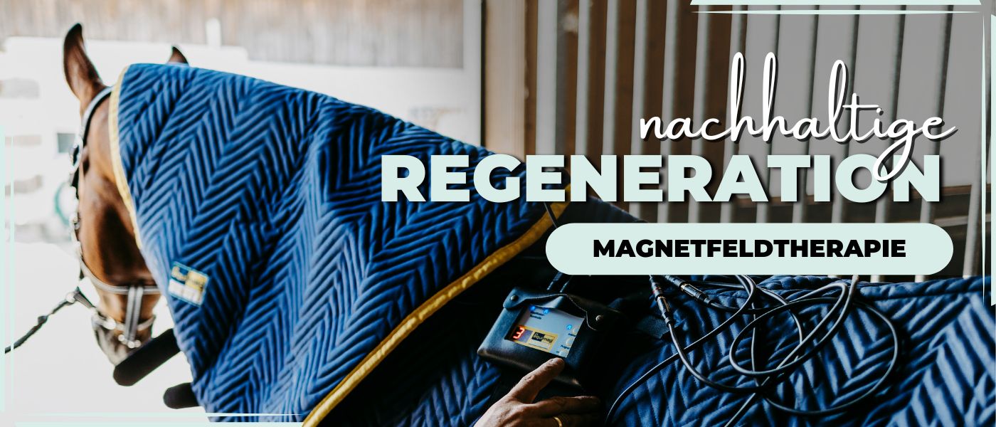 equimag Magnetfelddecken bei Pferdperfekt