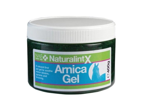 NaturalintX Arnica Gel | Arnika-Salbe
