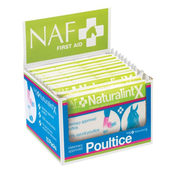 NaturalintX Wundauflage - 10 STÜCK IM KARTON