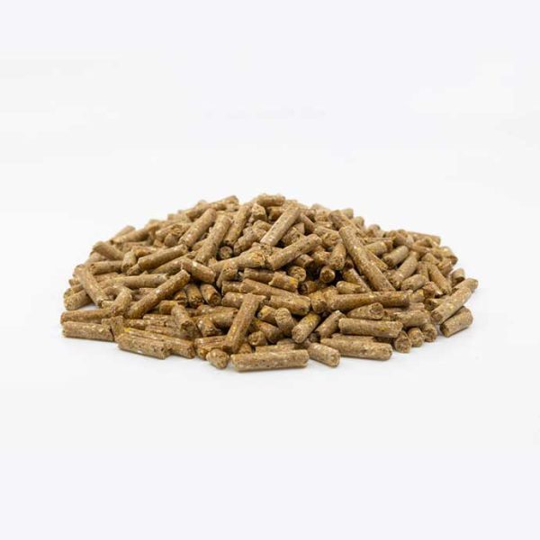 Fixkraft Elite Kompakt Basis Pellet
