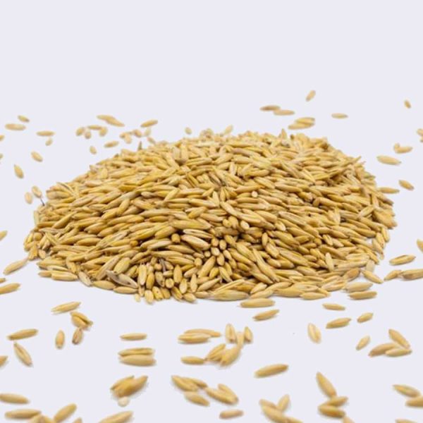 Qualitätshafer ganz 25kg – Bild 3