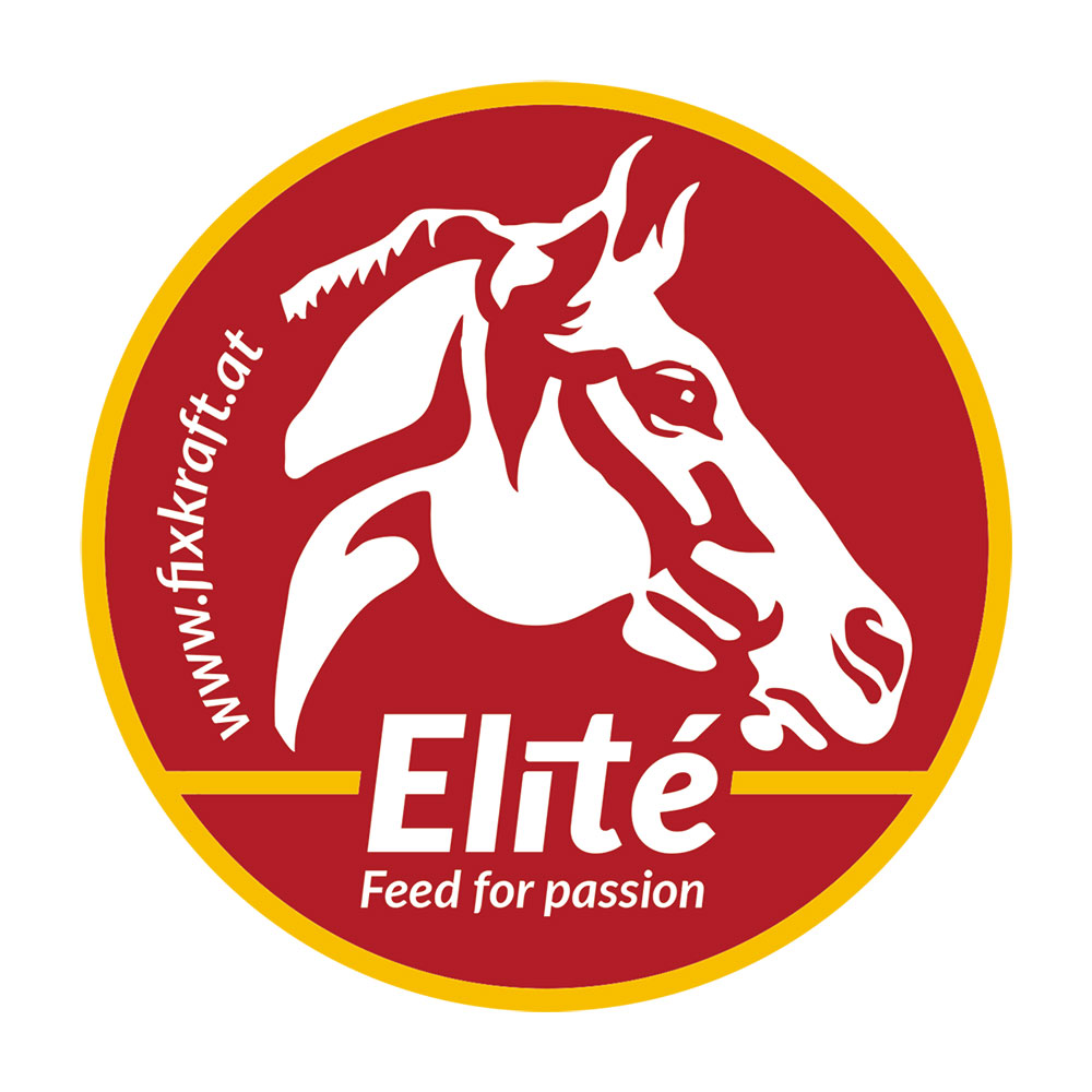 Logo Fixkraft Elité quadratisch