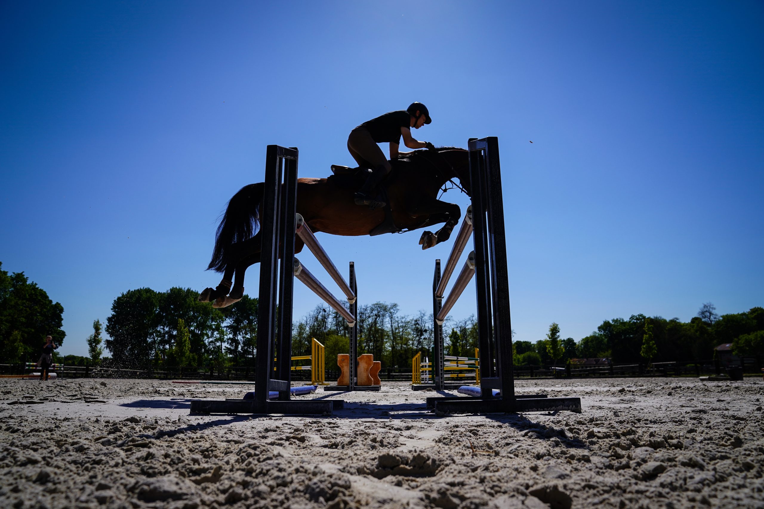 Reiter springt mit Pferd über hohen Ochser
