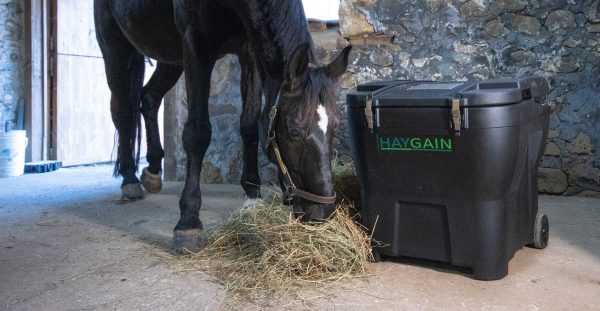 Pferd frisst Heu aus Haygain Heubedampfer HG 600