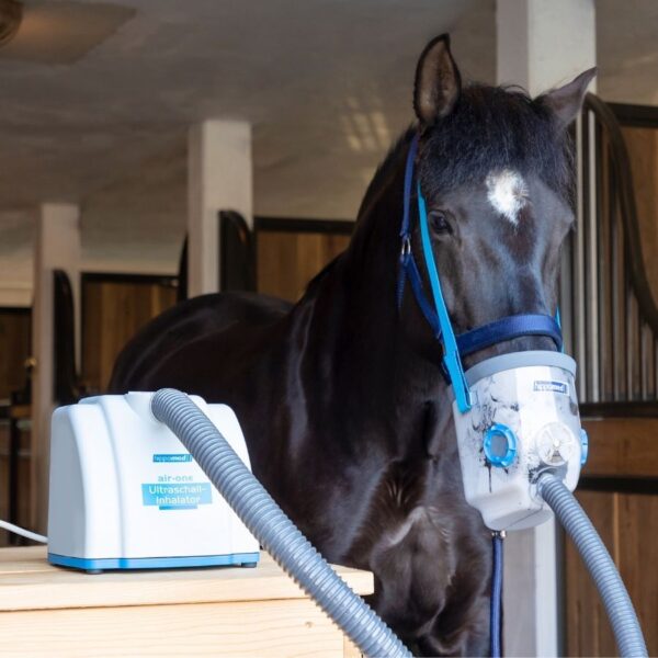 Pferd inhaliert mit Hippomed Air One Ultraschallinhalator – effektive Unterstützung für gesunde Atemwege