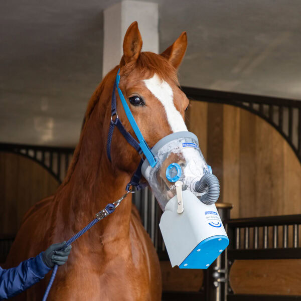 Pferd inhaliert mit AirOne Flex Ultraschallinhalator von Hippomed