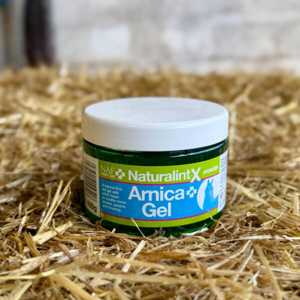 NAF Arnica Salbe für Ihre Stallapotheke