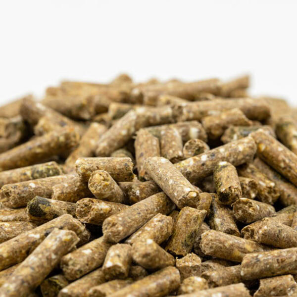 Fixkraft Elité Gastro Balance │ Magenschonendes Komplettfutter