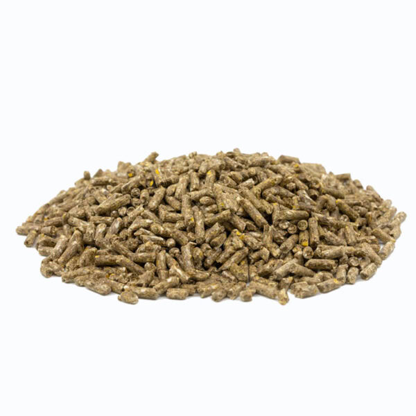Fixkraft Elité Kompakt Alpha Bio │ Strukturreiches Bio-Kraftfutter