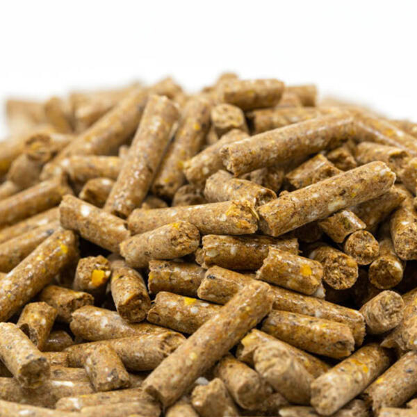 Fixkraft Elité Kompakt Basis Pellet │ Haferfreie Basis-Pellets