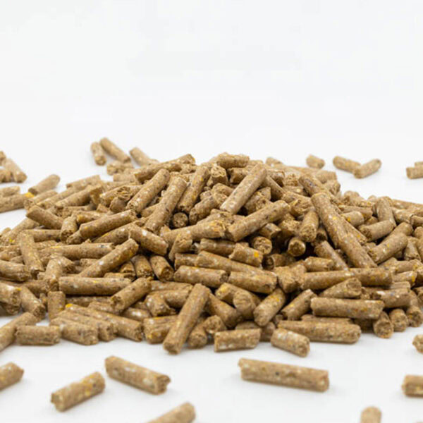 Fixkraft Elité Kompakt Basis Pellet │ Haferfreie Basis-Pellets