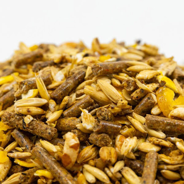 Fixkraft Elité Zucht Müsli │ Für Stuten und Fohlen