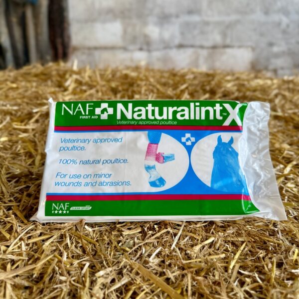 NaturalintX Wundauflage