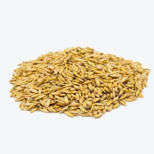 Fixkraft Fixkraft Elité Qualitätshafer