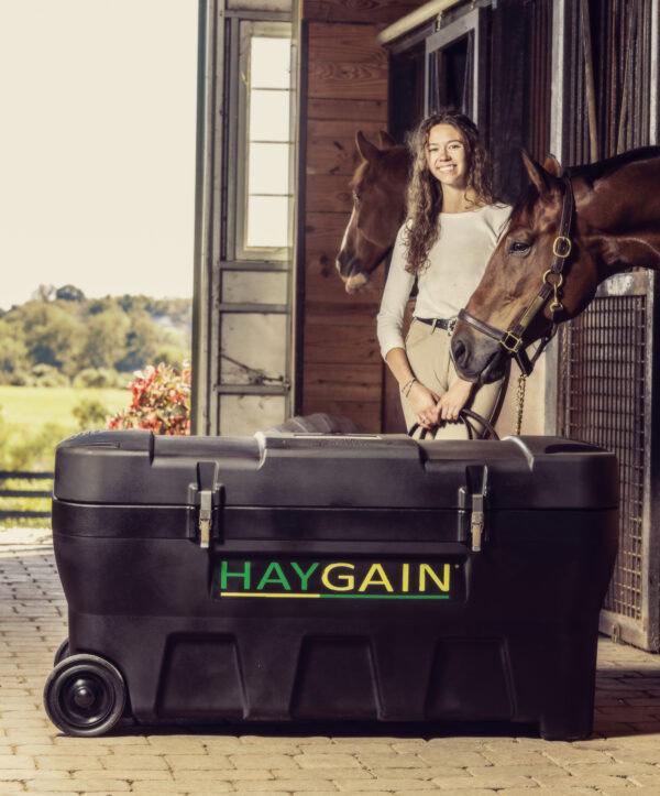Imagebild Heubedampfer HG 2000 im Pferdestall