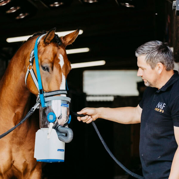 Hippomed AirOne Flex Komplettset Warmblut – Bild 3