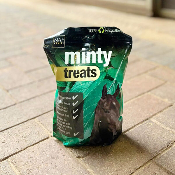 NAF Minzeleckerli 1kg – Bild 3