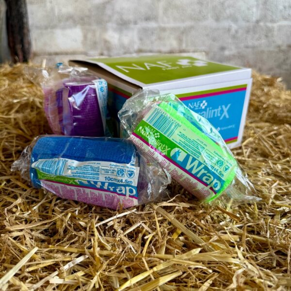 NaturalintX Klebebandagen