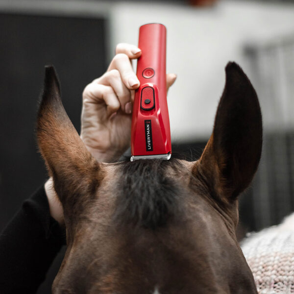 Liveryman Nova Trimmer │Praktischer Trimmer für Pferde und Hunde