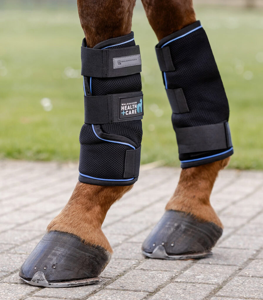 Waldhausen Ice Layer Gamaschen | Wasser-Kühlgamasche fürs Pferd
