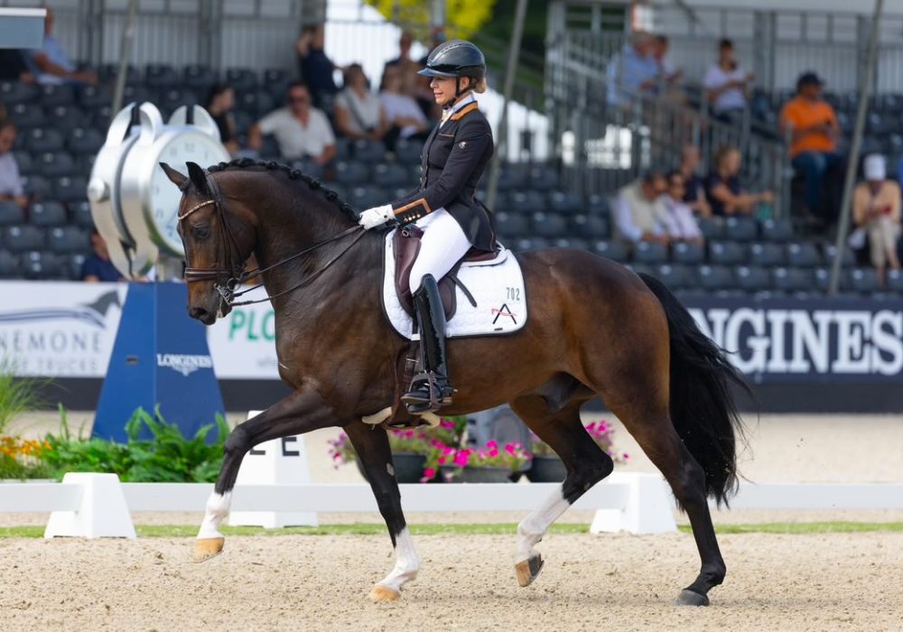 Nicola Baur-Rona und For Gold bei der WM der jungen Pferde │ Pferdperfekt Teamreiter