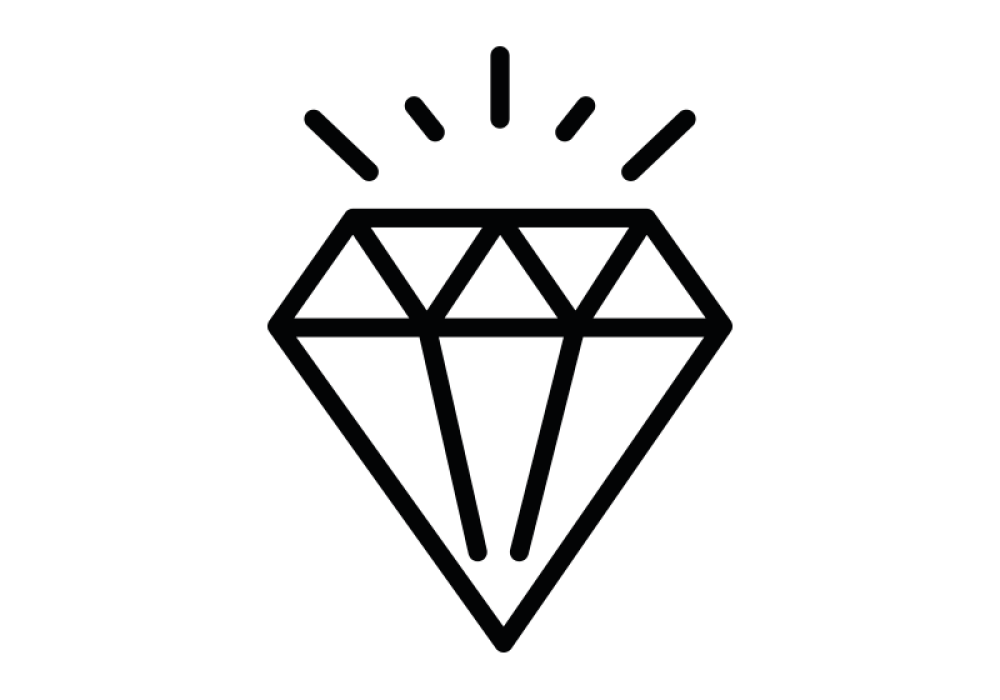 Markenicons_Haygain_sauber