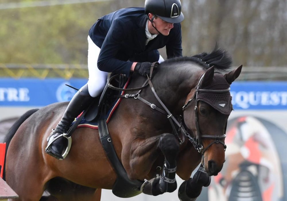 Thomas Himmelmayer im Parcours │ Pferdperfekt Teamreiter
